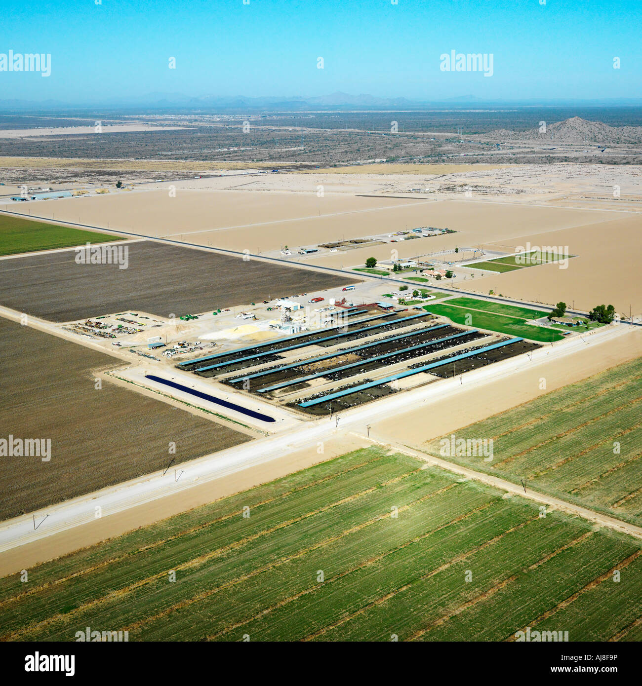 061121s0078 hires stock photography and images Alamy