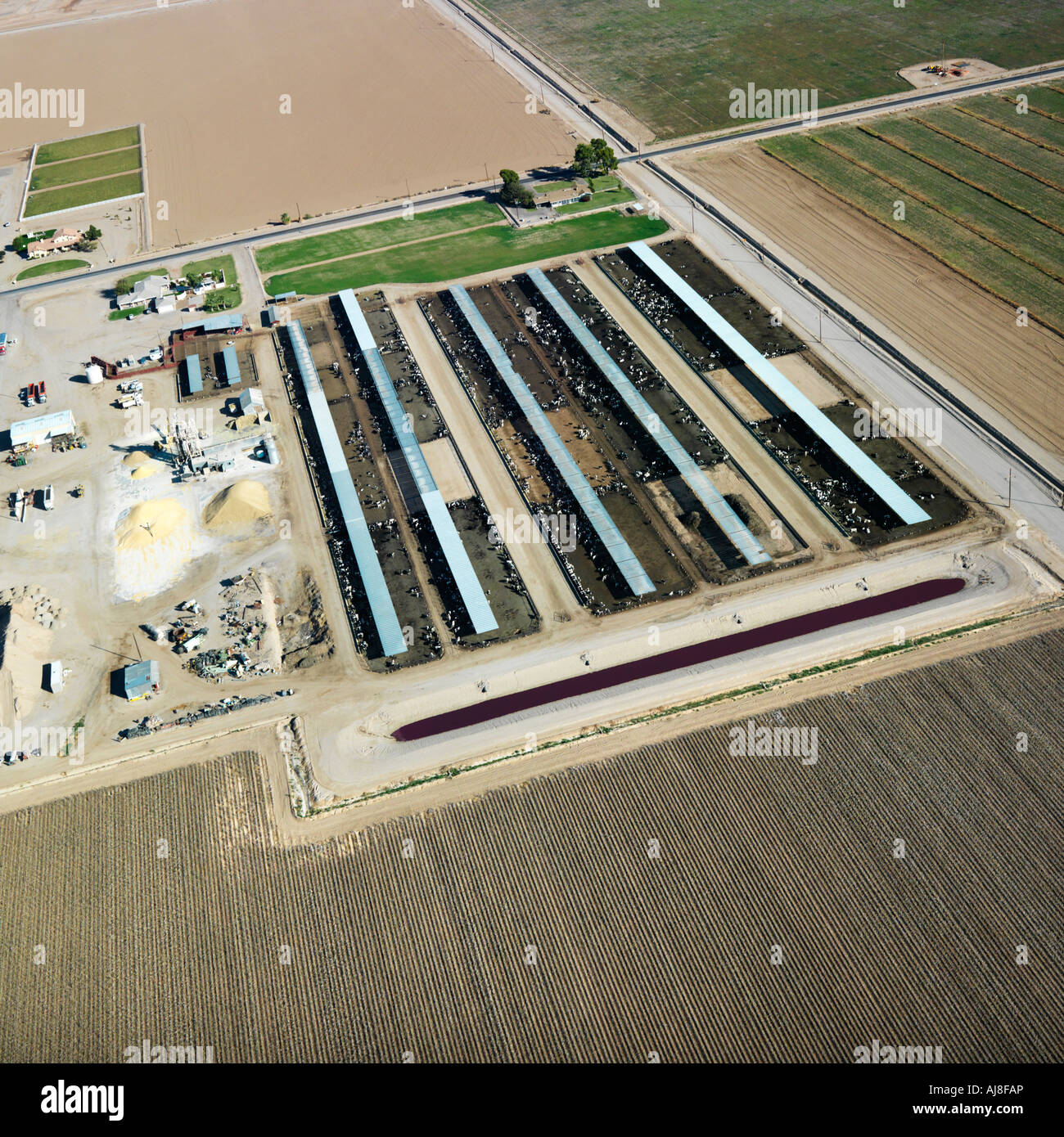 Aerial view of livestock farmland in Arizona Stock Photo Alamy
