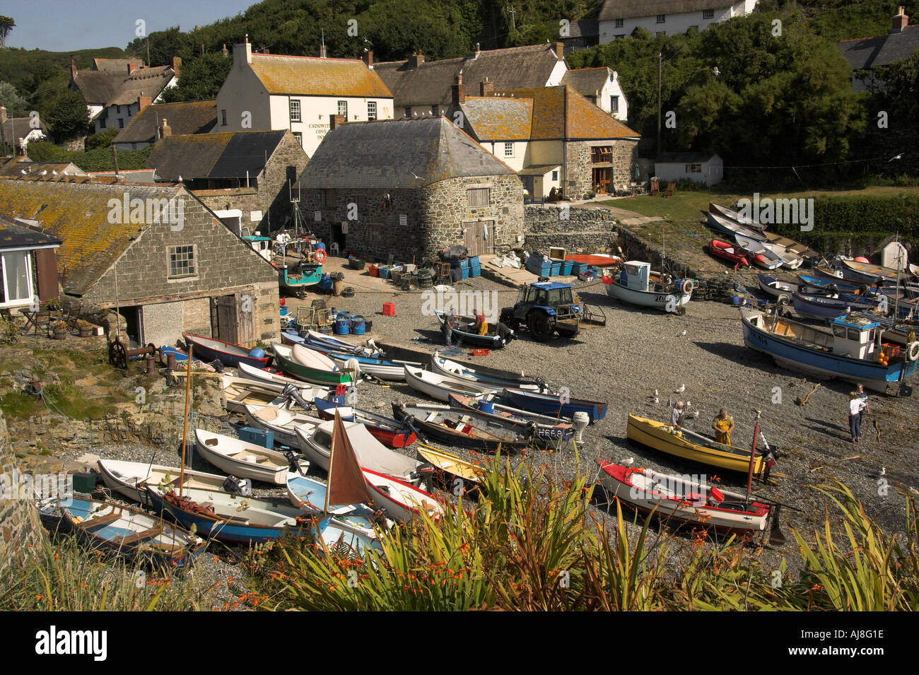 Cadgwith Cove, Cornwall, UK Stock Photo Alamy