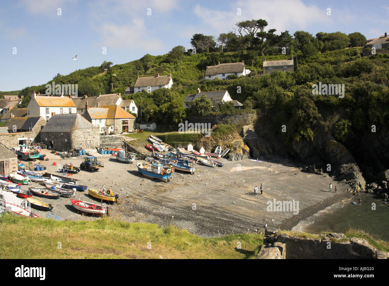Cadgwith Cove, Cornwall, UK Stock Photo Alamy