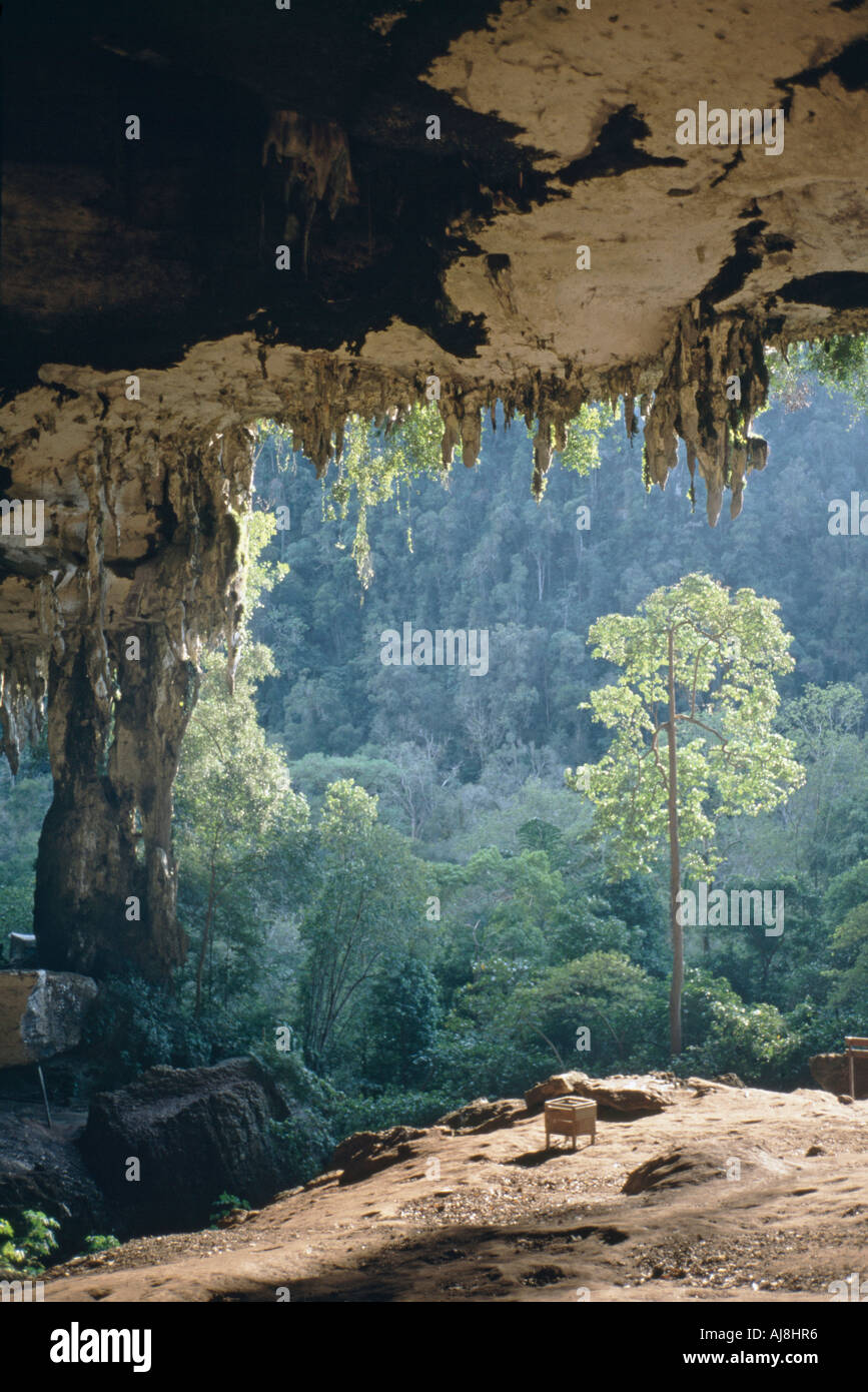 Niah Cave Borneo Malaysia Stock Photo