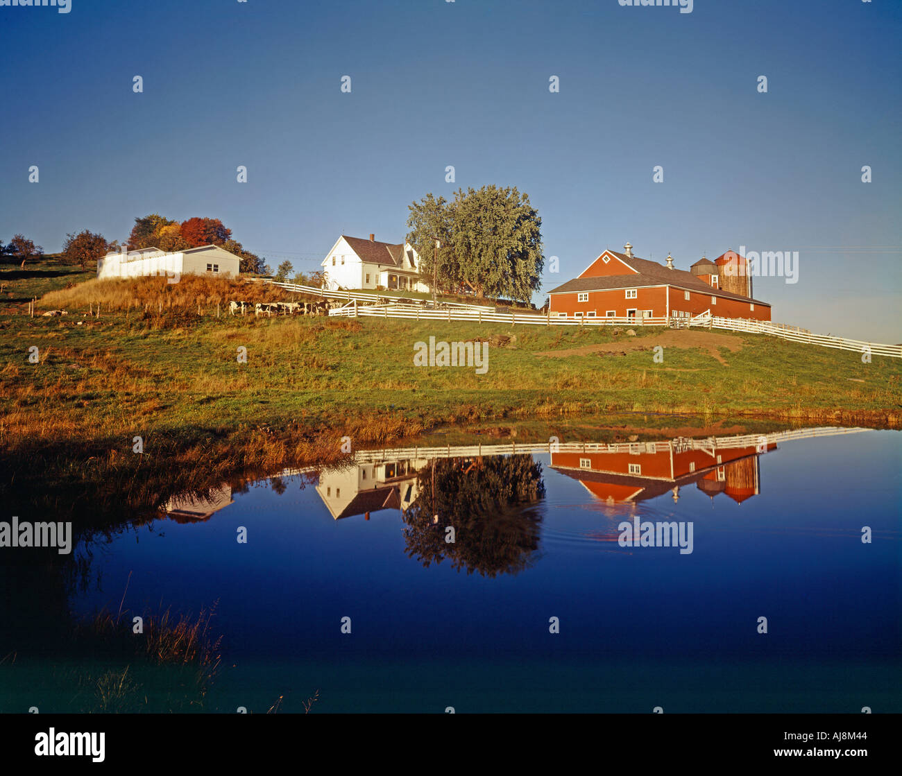 farm near village of Worcester New York USA Stock Photo Alamy