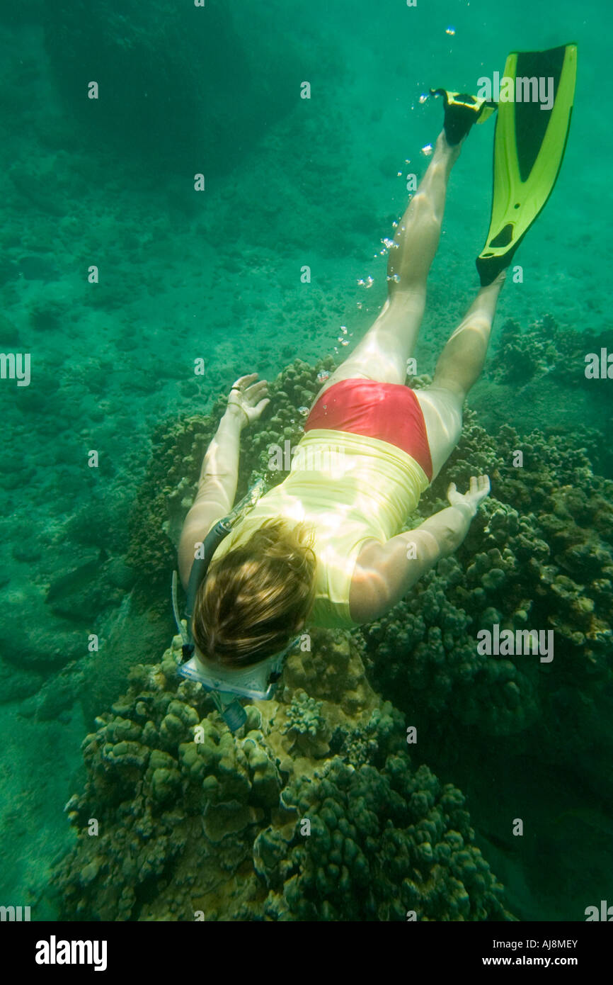 Maui bay snorkeling hi-res stock photography and images - Alamy