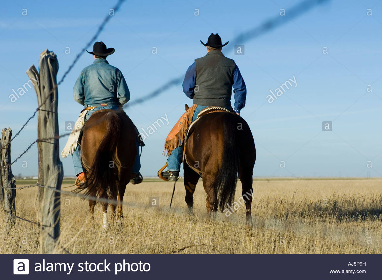 Two cowboys on horseback in Texas Stock Photo 14658892 Alamy