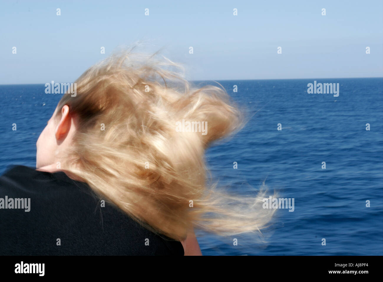 Observing Rear View Observing from outside hi-res stock photography and images - Alamy