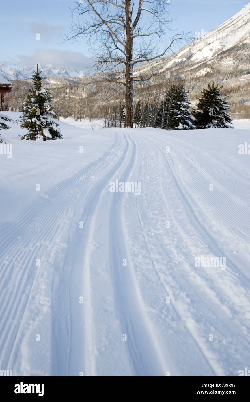 cross country skiing groomed trails near me