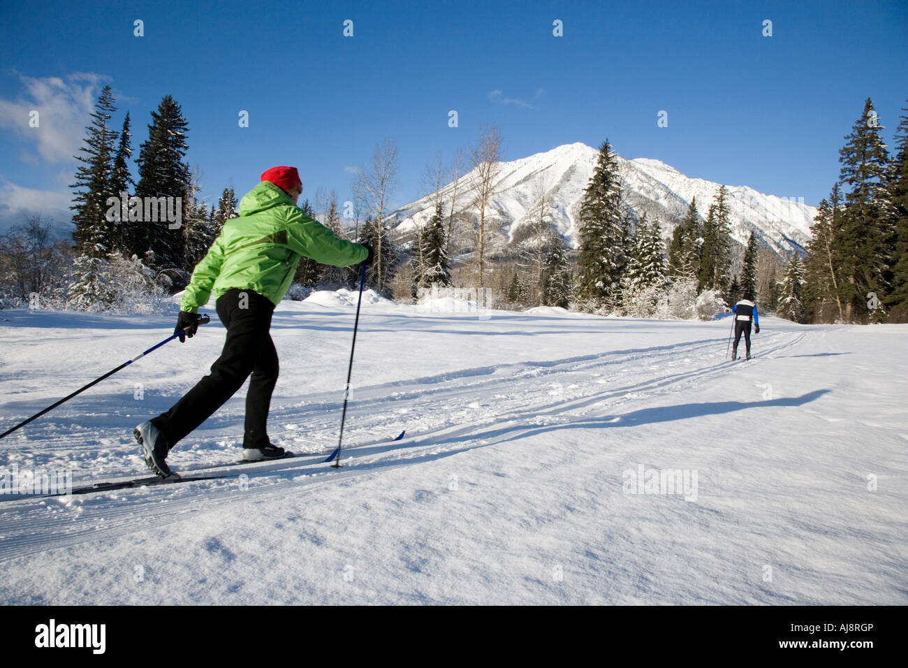Middleaged couple xc skiing on groomed crosscountry ski trails Stock