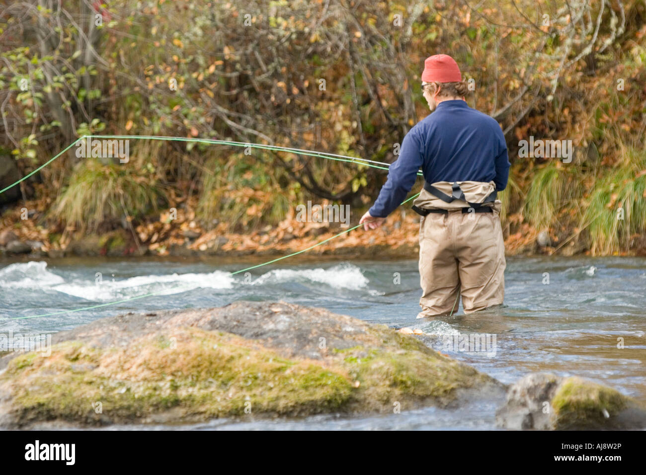 Fly fishing for steelhead trout Stock Photo Alamy