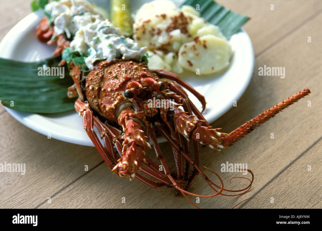 A pacific lobster Stock Photo