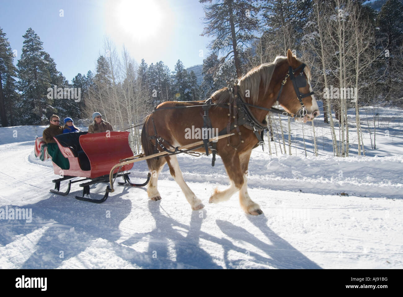 Three people riding sleigh. Stock Photo