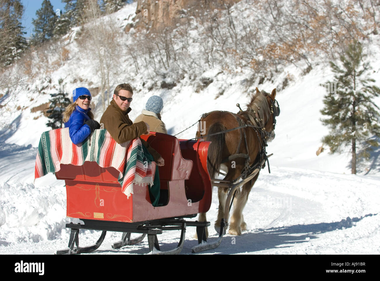 Horse drawn sleigh hi-res stock photography and images - Alamy