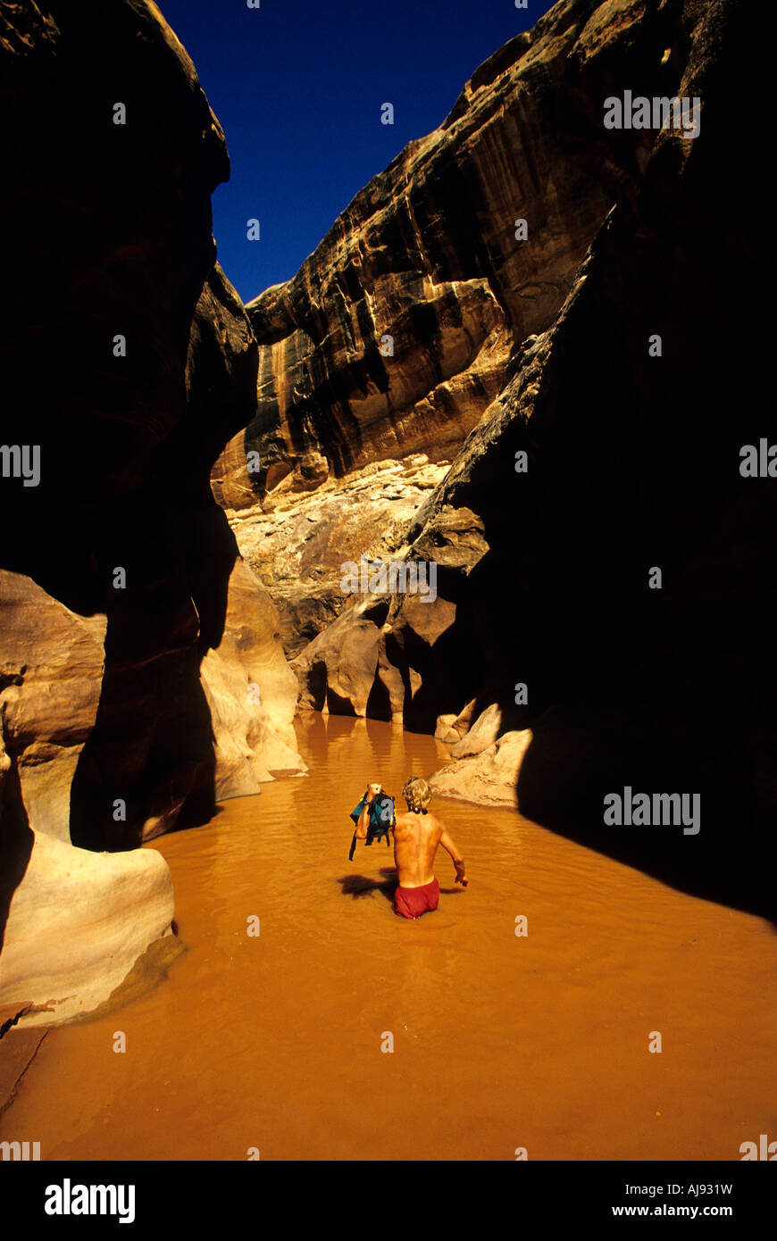 Wading through water in desert canyon Stock Photo Alamy