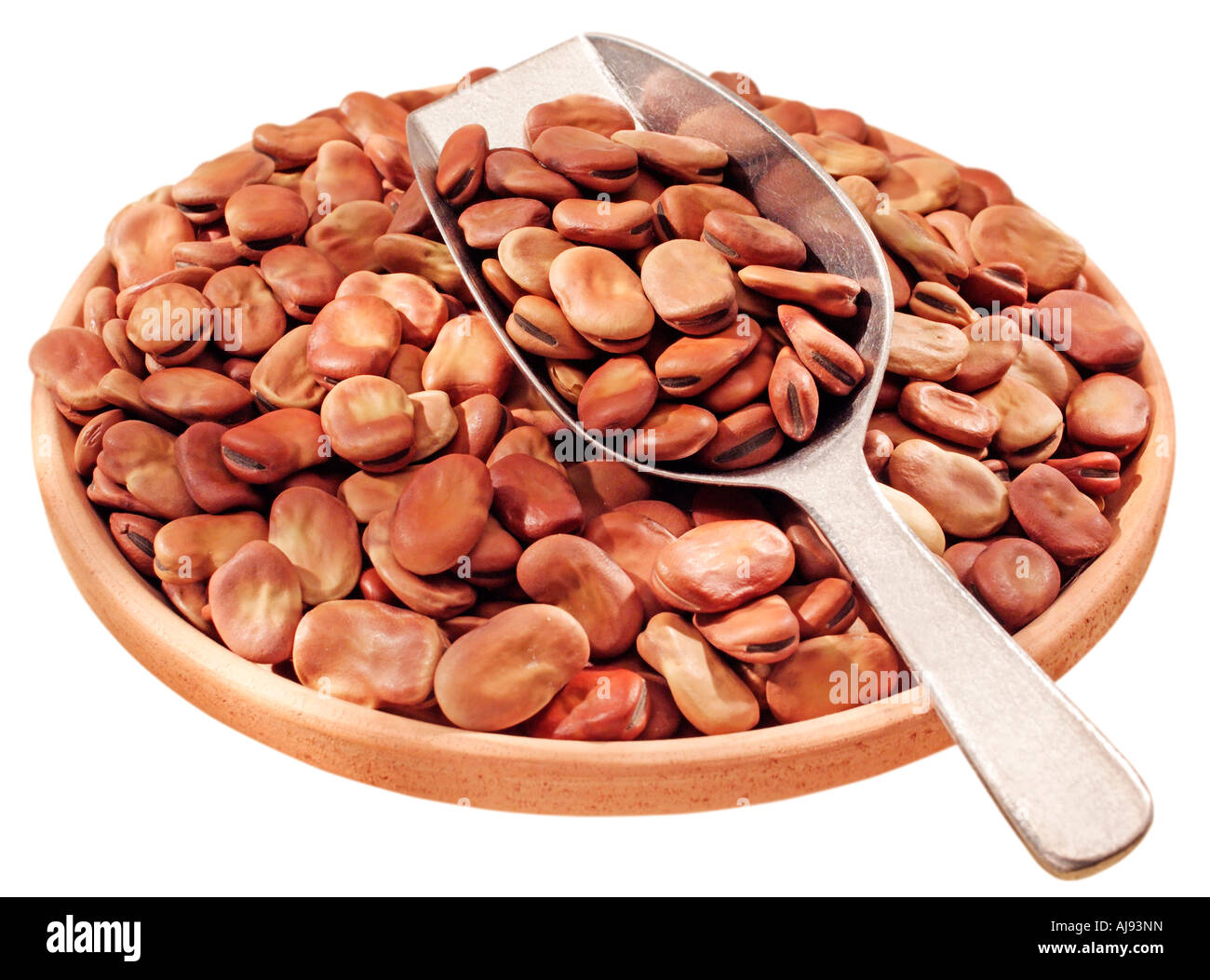 DRIED BROAD BEANS CUT OUT Stock Photo