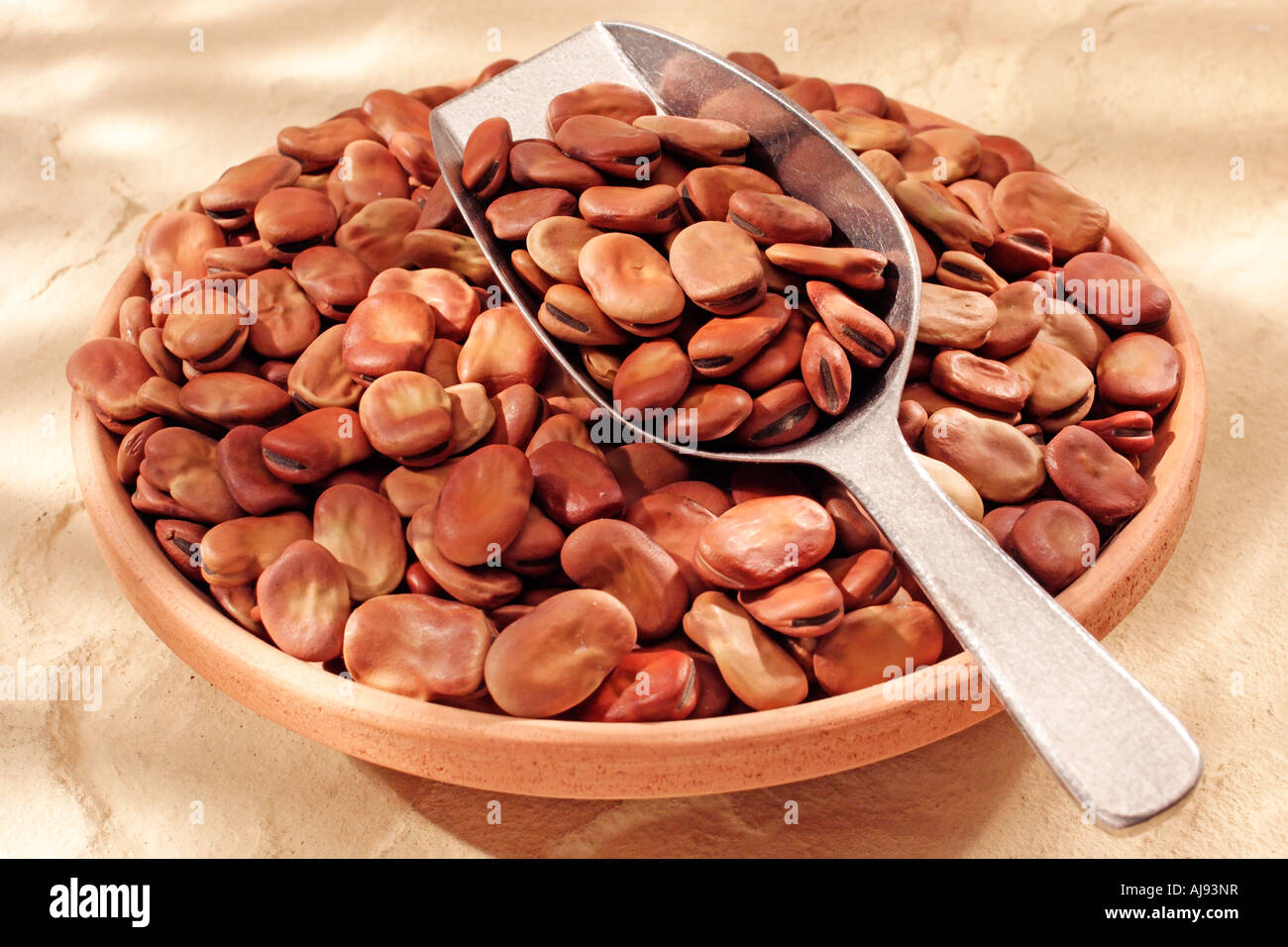 DRIED BROAD BEANS Stock Photo Alamy