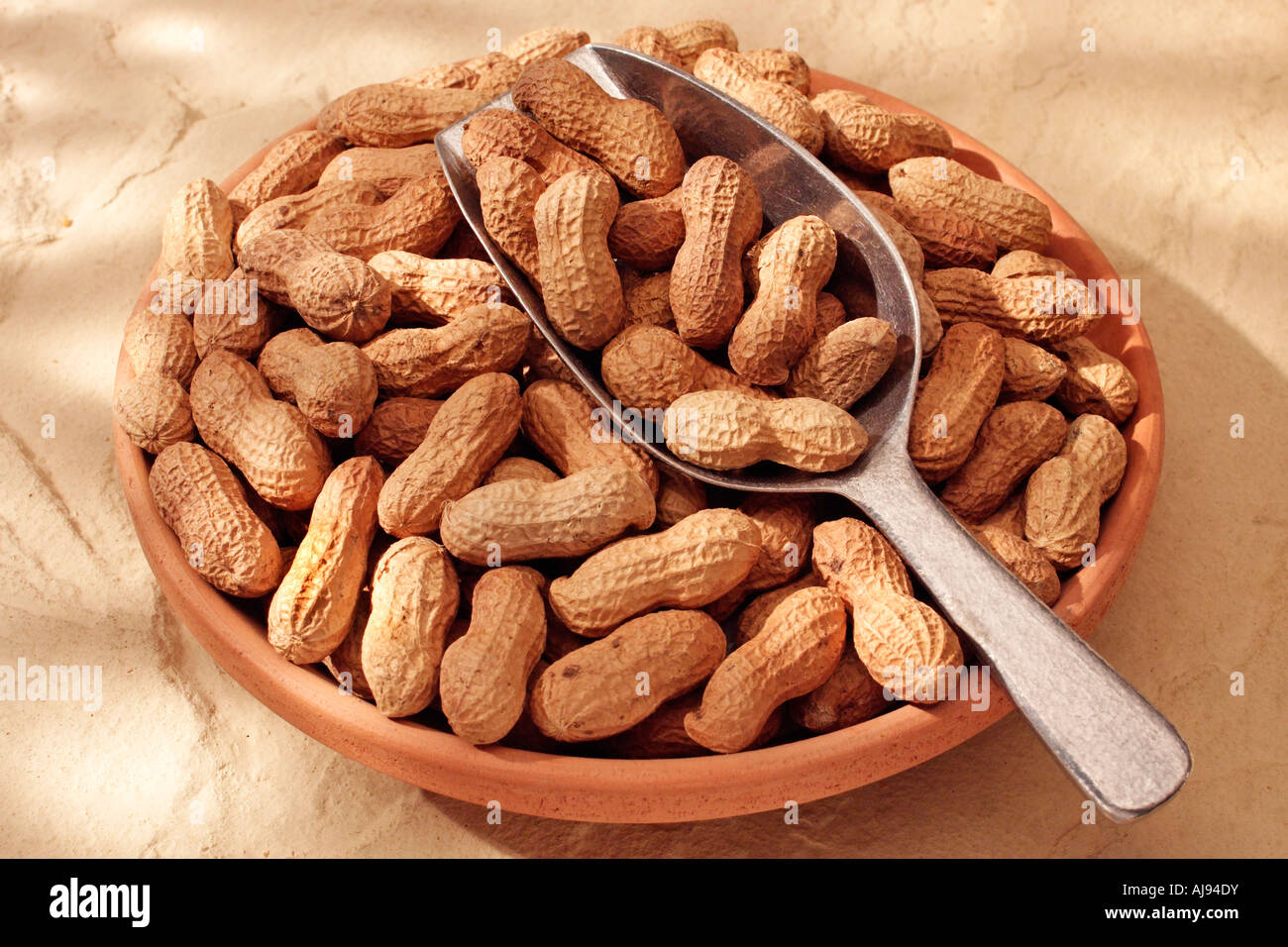 WHOLE MONKEY NUTS Stock Photo