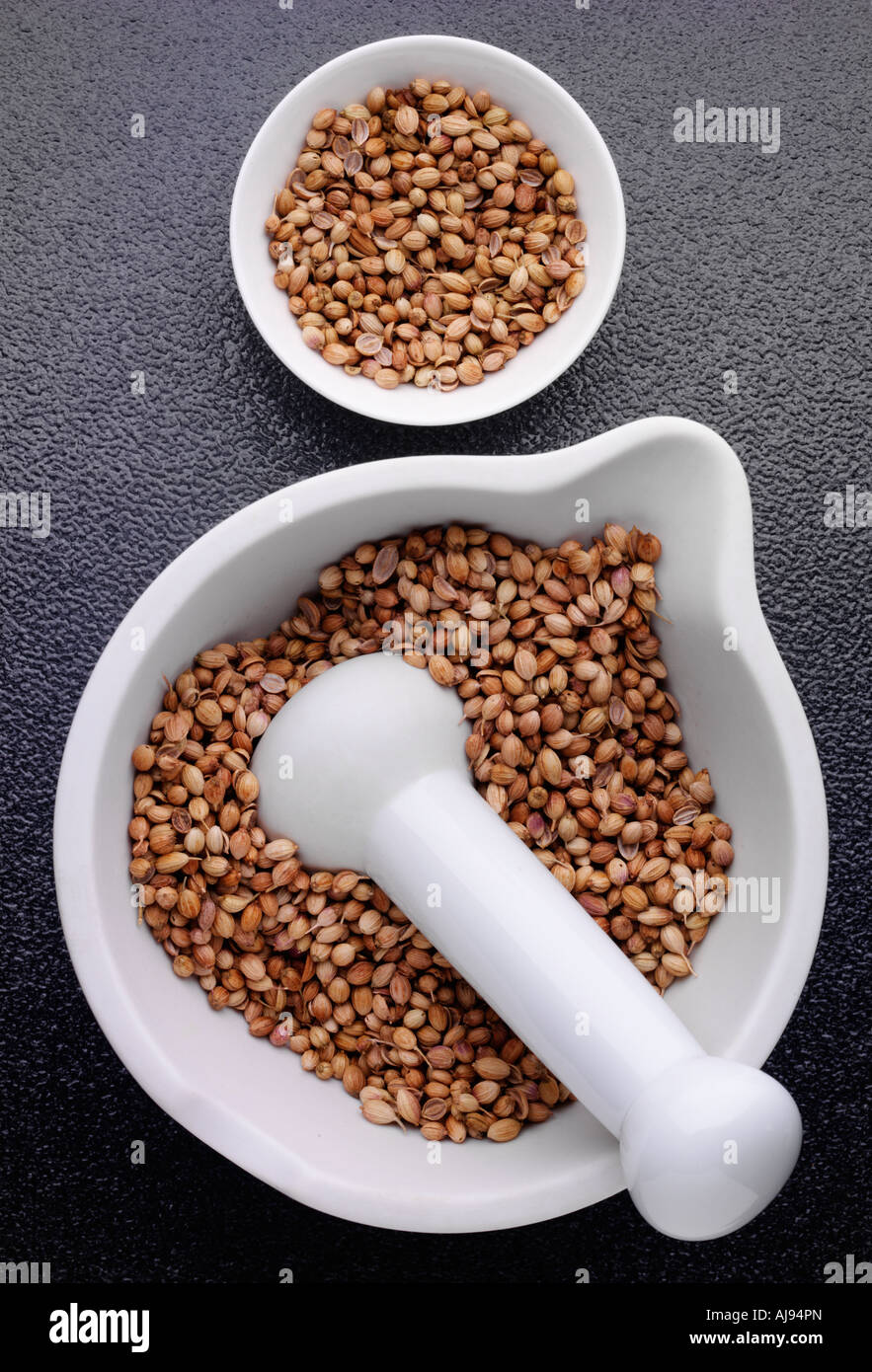 coriander-seeds-in-pestle-and-mortar-stock-photo-alamy