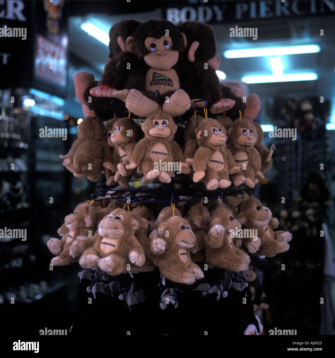 The Apes of Gibraltar as soft toys for sale at a tourist shop in Main Street, Gibraltar. 2002. Stock Photo