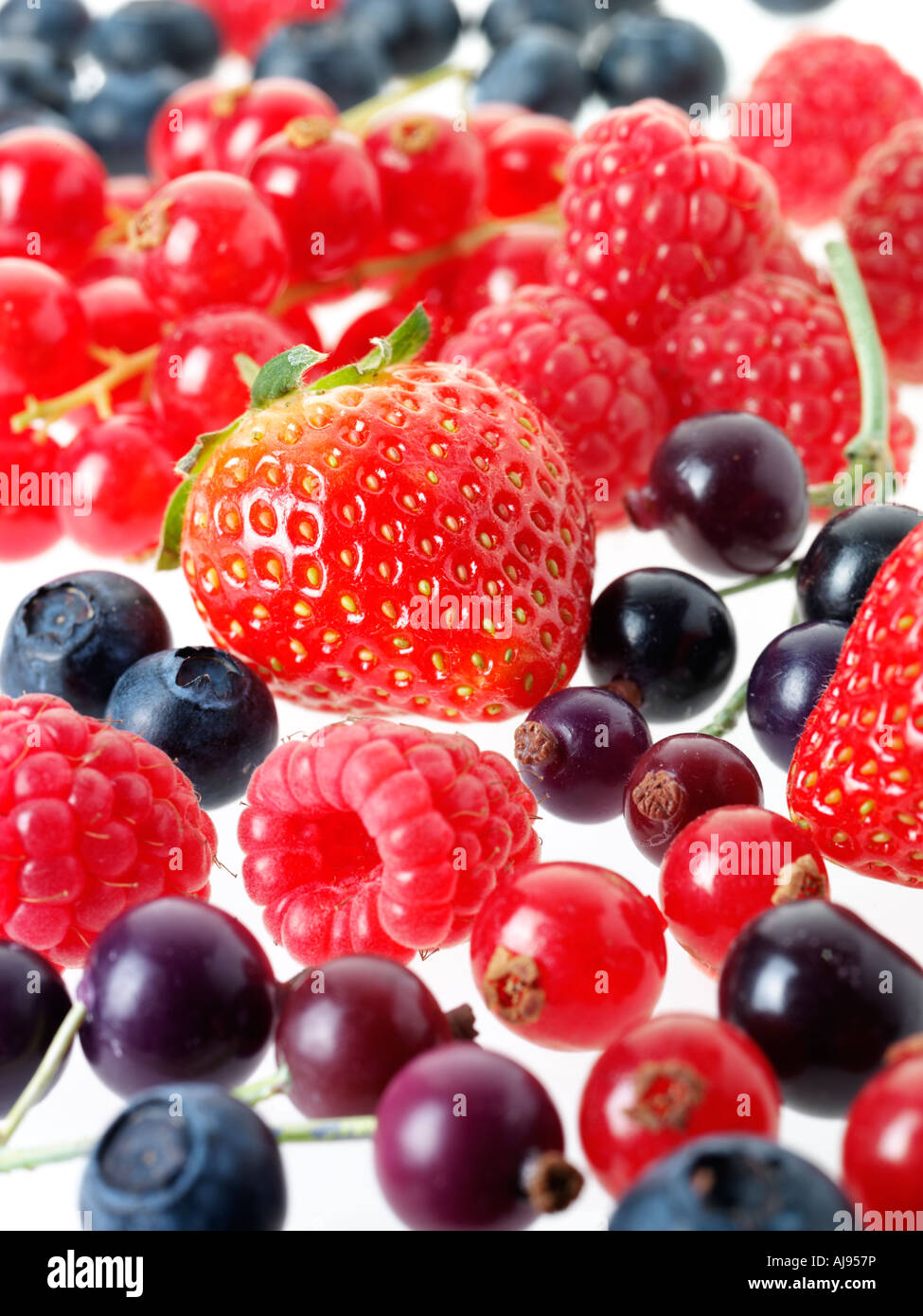 FRUITS OF THE FOREST Stock Photo - Alamy