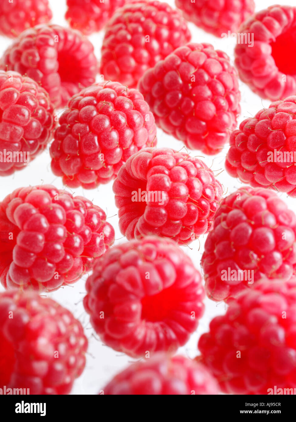 FRESH RASPBERRIES Stock Photo