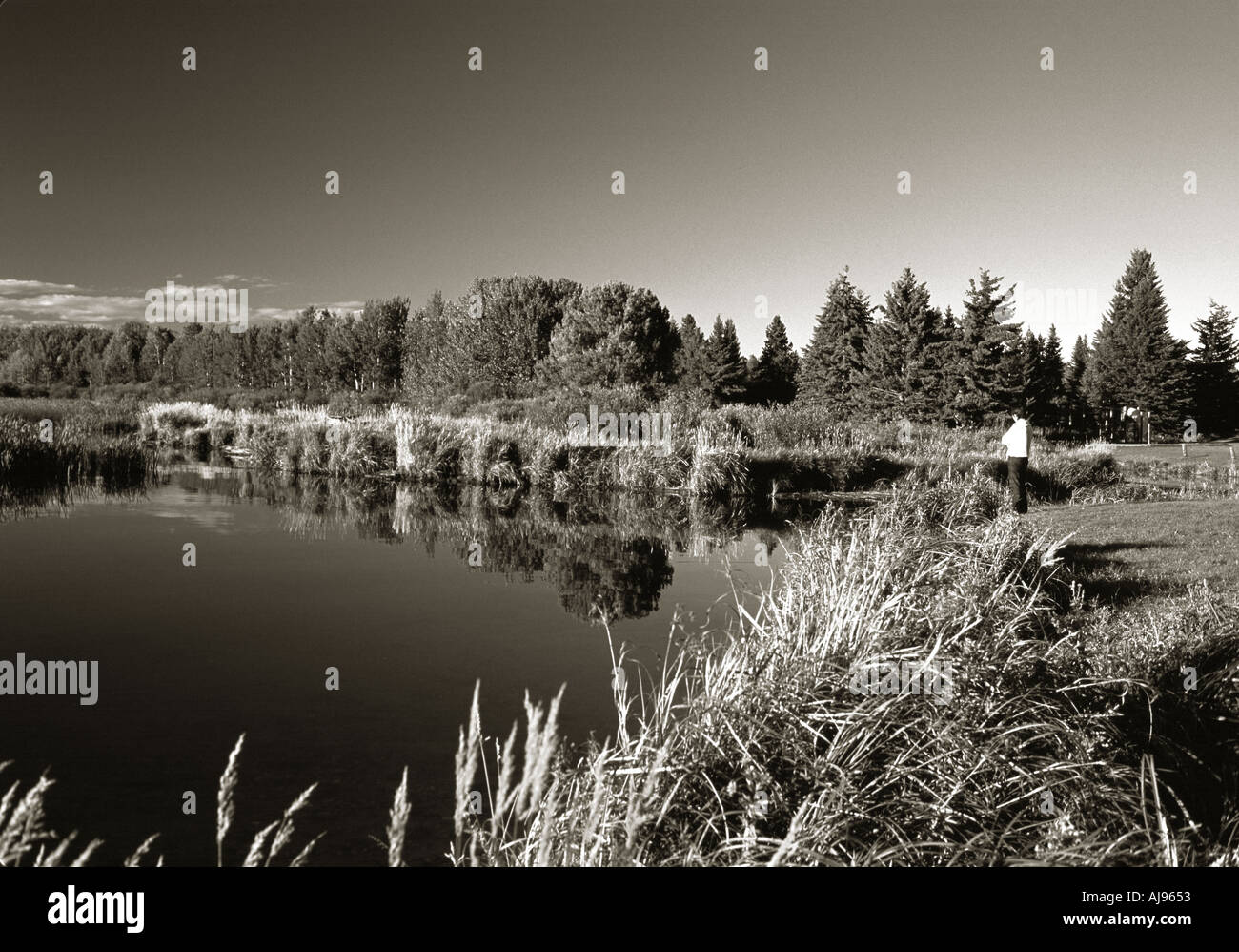 Buck Lake Alberta Canada Stock Photo Alamy