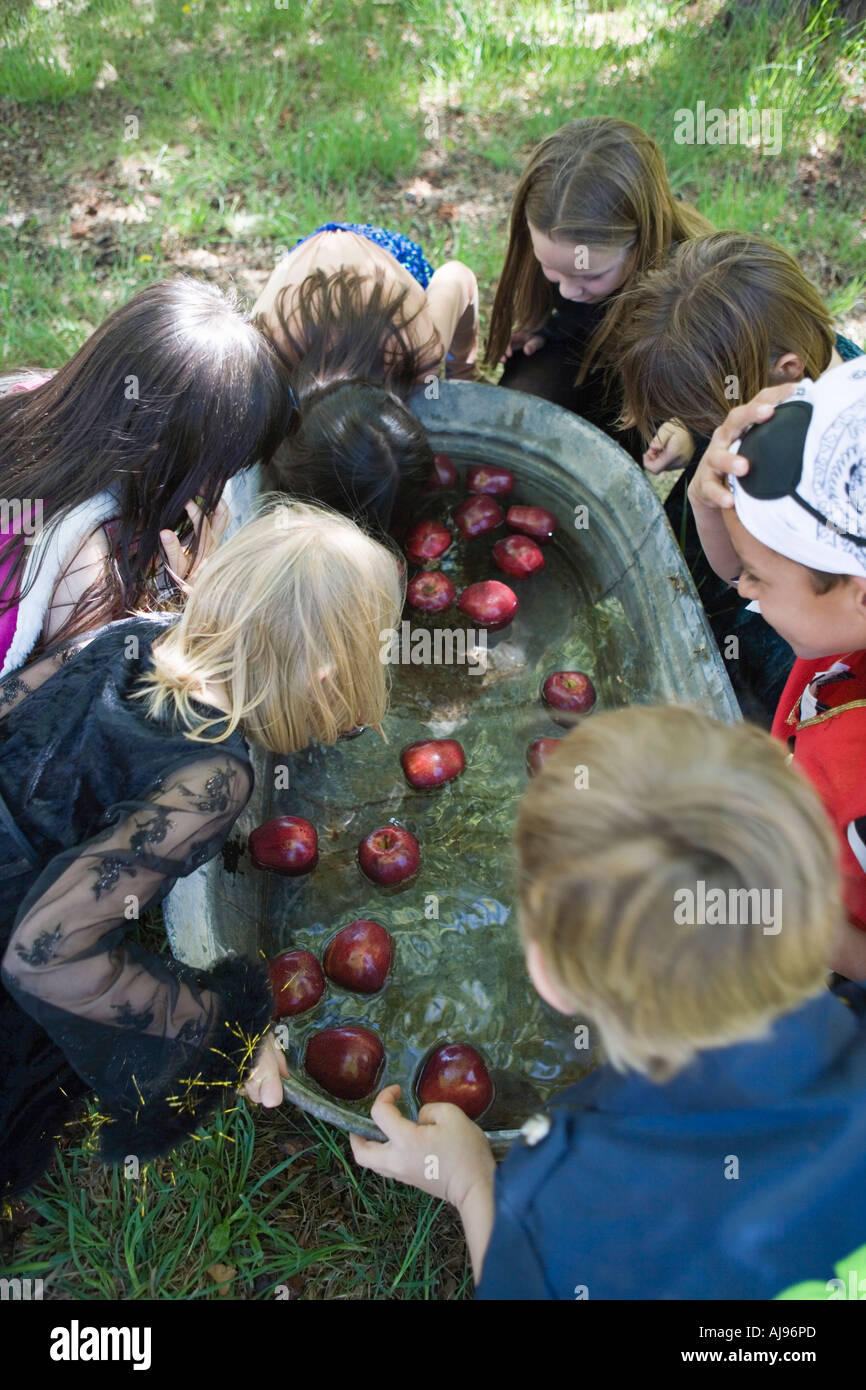 Bobbing for apples halloween hi res stock photography and images alamy