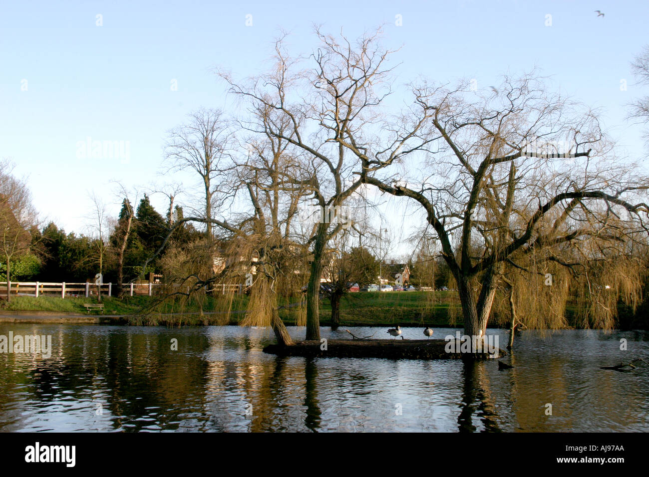 chislehurst common in kent uk Stock Photo Alamy