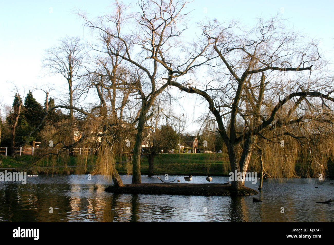 Chislehurst caves hires stock photography and images Alamy
