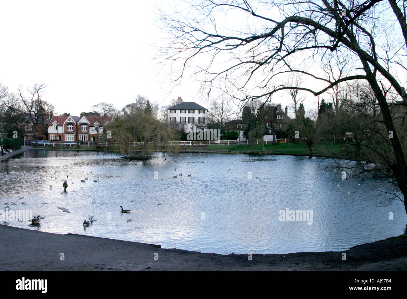 chislehurst common in kent uk Stock Photo Alamy