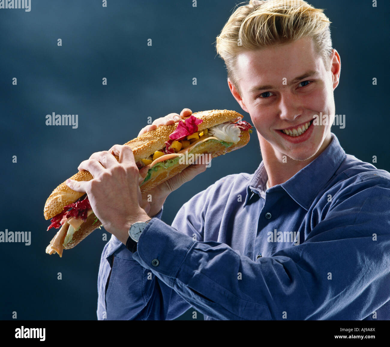 Bluebird chelsea hi-res stock photography and images - Alamy