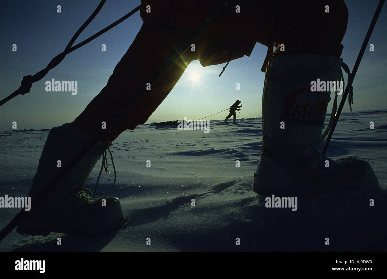 Royal Marines hauling sleds across the frozen Arctic sea in 55 degrees C Stock Photo