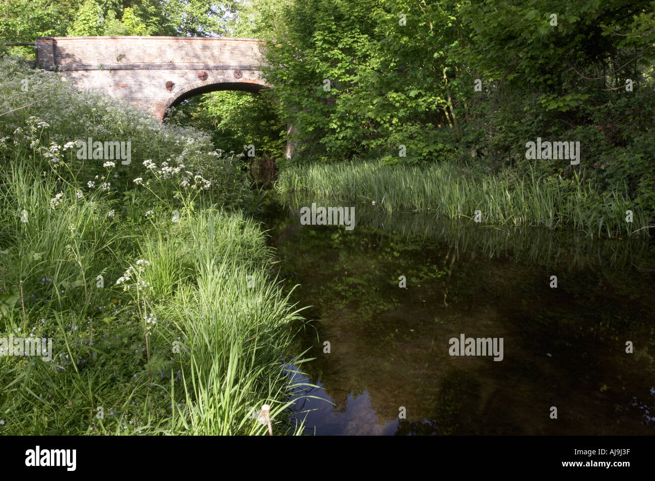 Grand union canal wendover arm hi-res stock photography and images - Alamy
