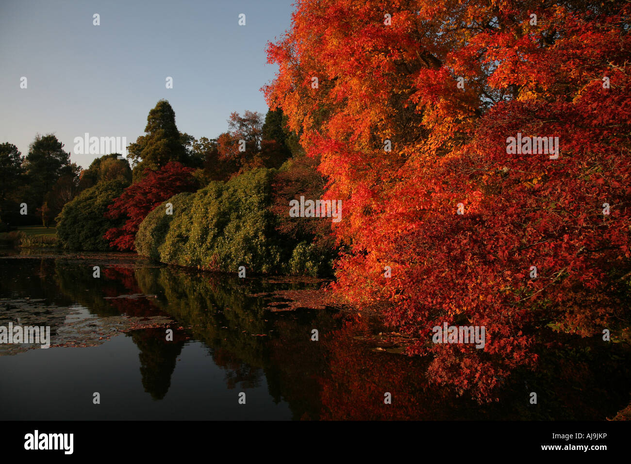 Sheffileld Park Garden, East Sussex, designed by Capability Brown Stock Photo