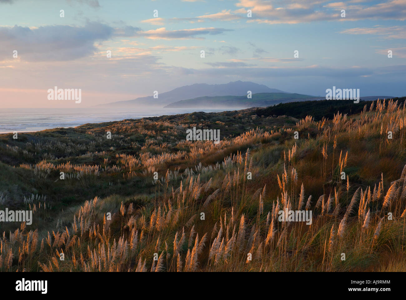 Landscape, Kawhia, North Island, New Zealand Stock Photo Alamy