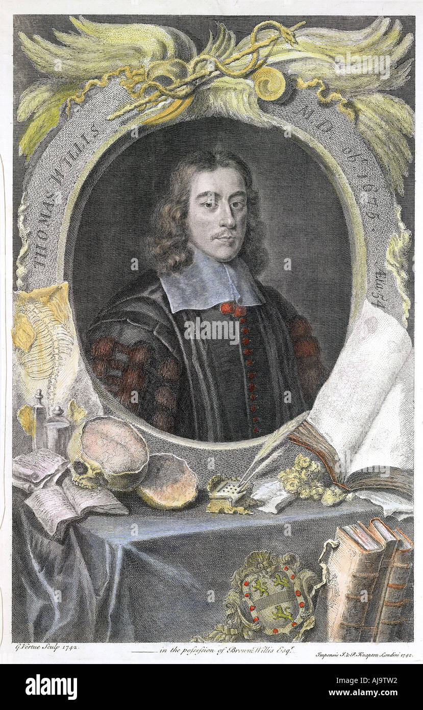 Thomas Willis 17th century English physician 1742