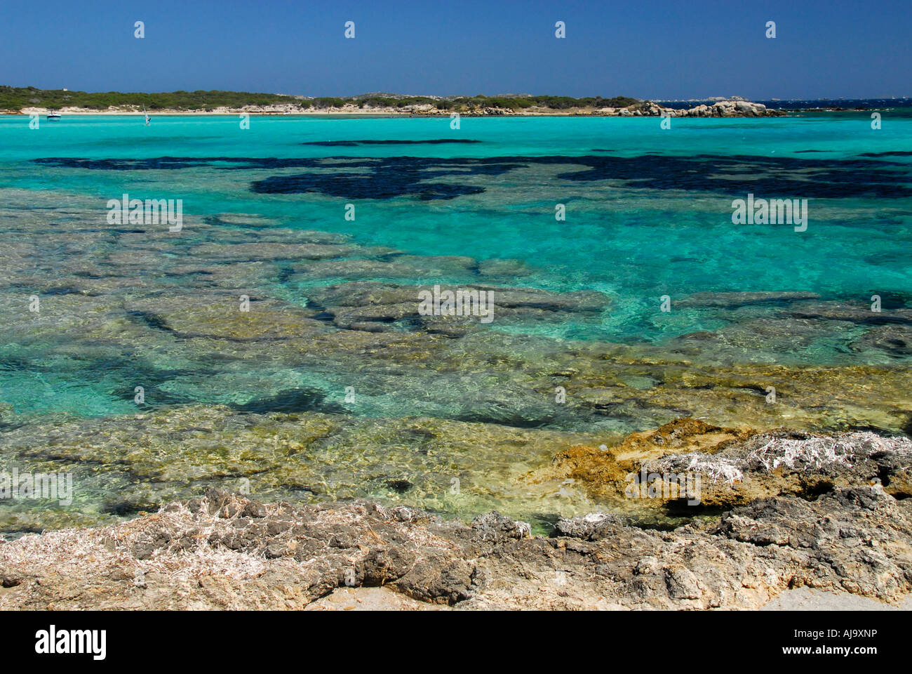 Rocky beach at Piantarella, Corsica, France Stock Photo