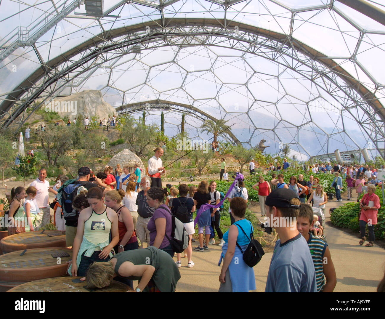 'biodome' interior, Eden Project, St Austell, Cornwall, England, UK