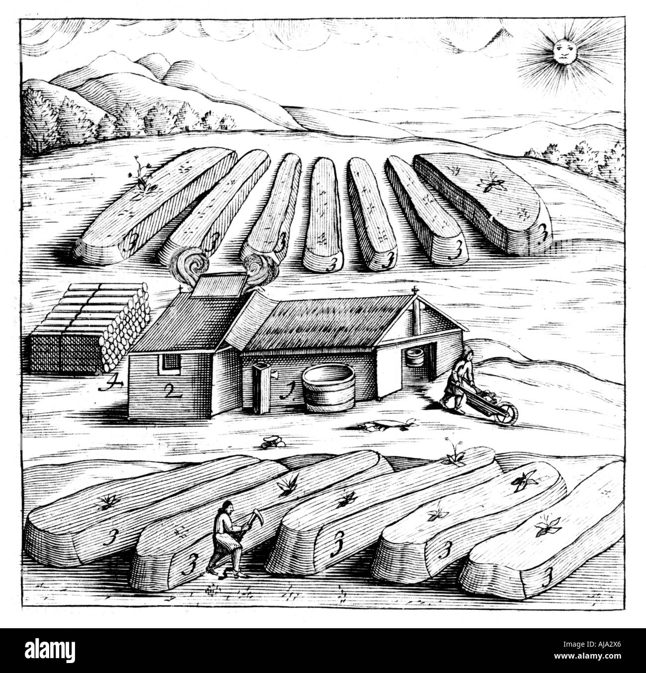 Production of saltpetre (nitre, potassium nitrate, or KN03), 1683. Artist: Unknown Stock Photo
