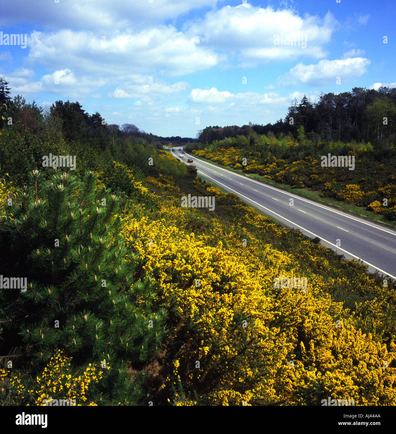 Ferndown dorset hires stock photography and images Alamy