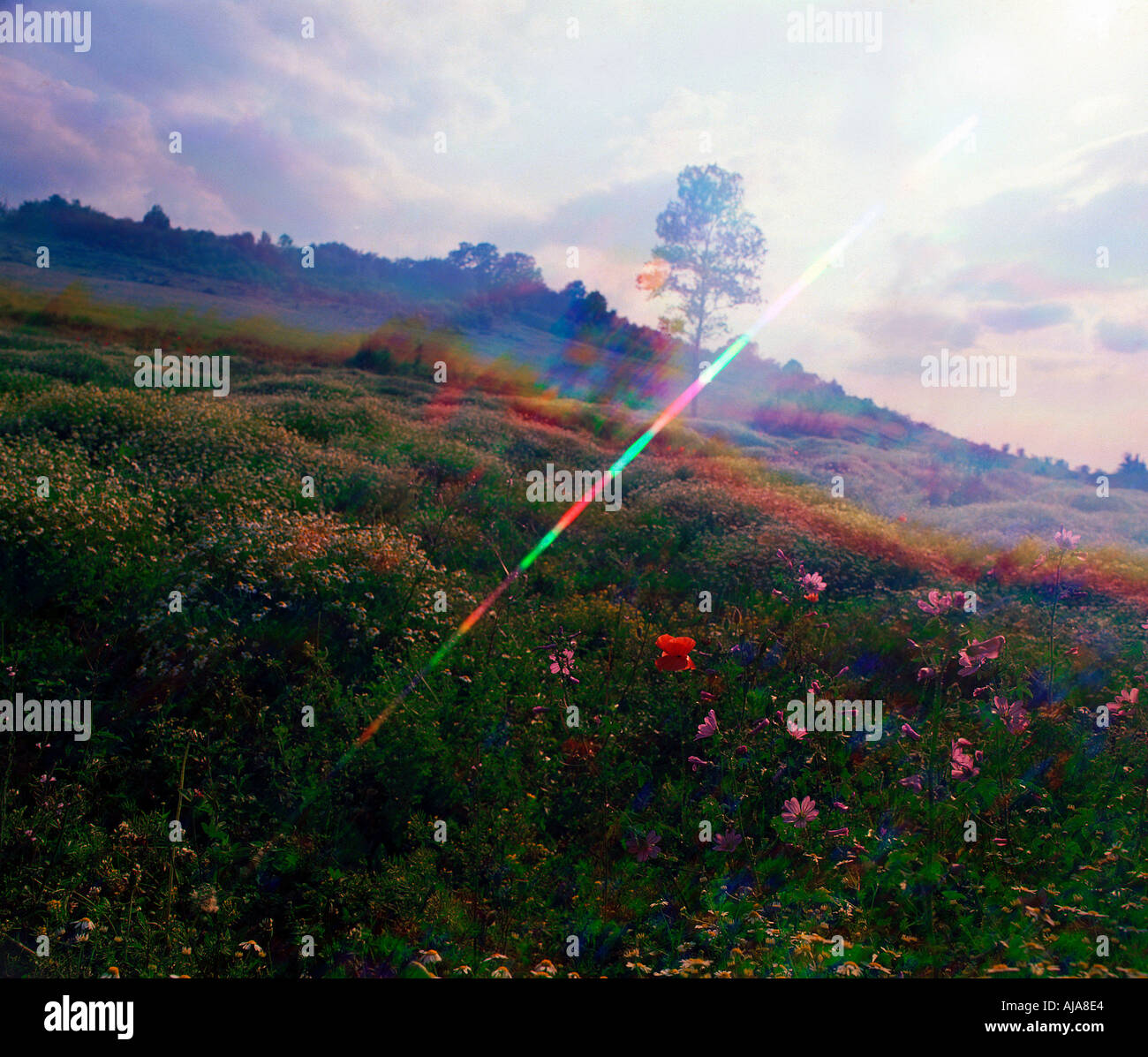 Vision light hi-res stock photography and images - Alamy