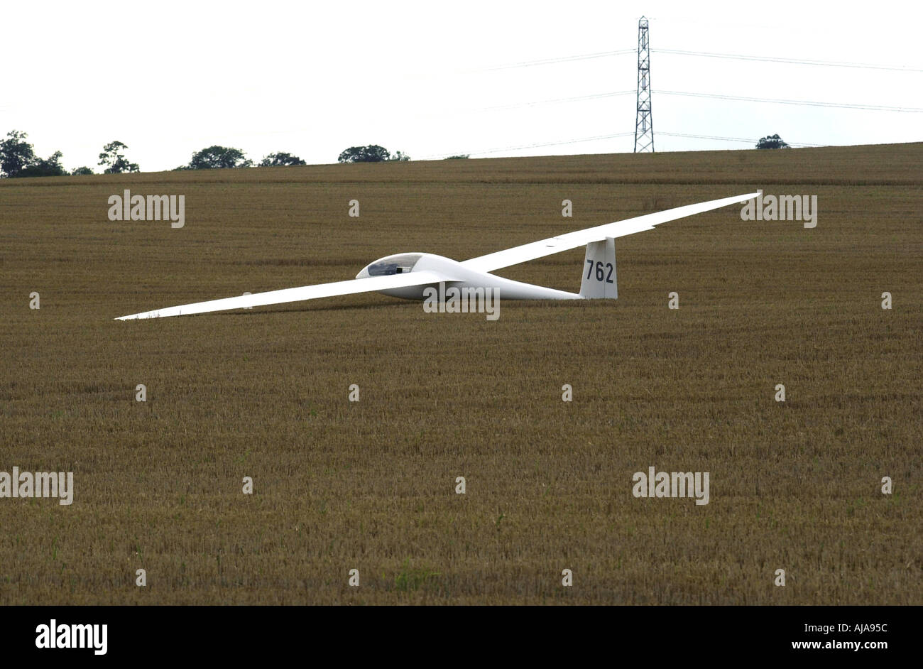 Glider makes a forced landing in a wheat field UK Stock Photo Alamy