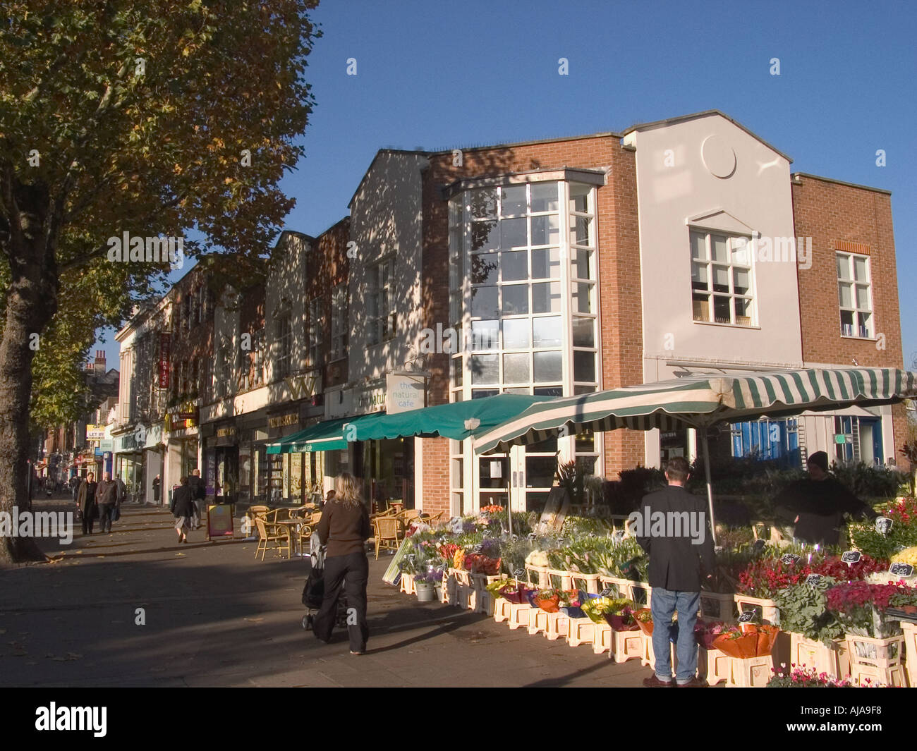 Flower Stall, Chiswick High Road, Chiswick, West London, England, United Kingdom Stock Photo