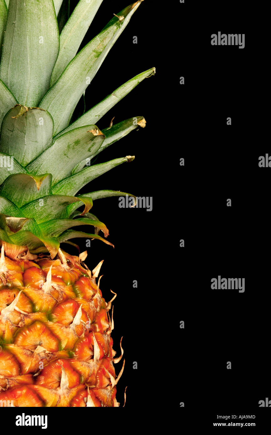 Detail of a pineapple against a black background with copy space Stock Photo