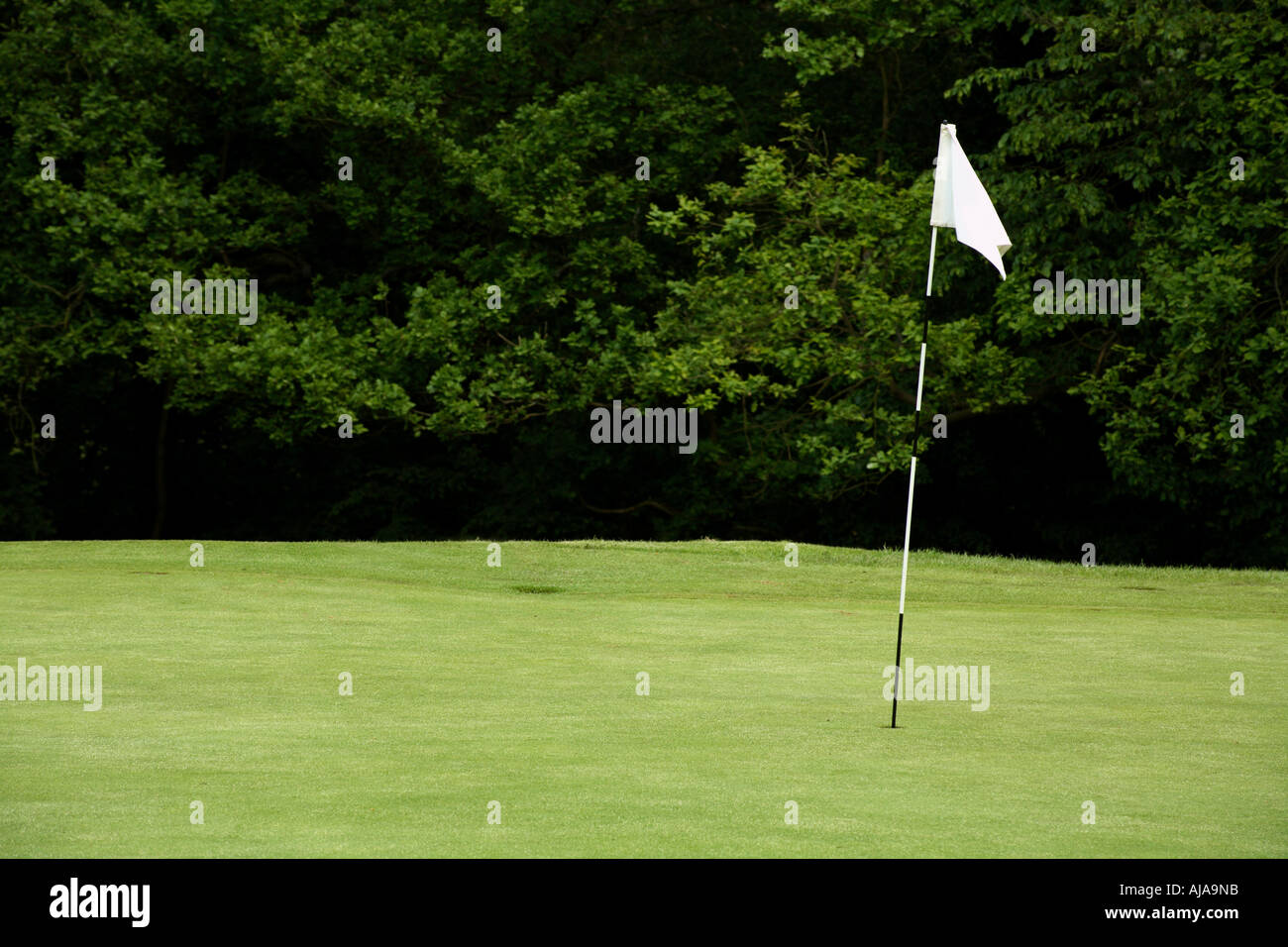 Golf course text fairway flag green hires stock photography and images
