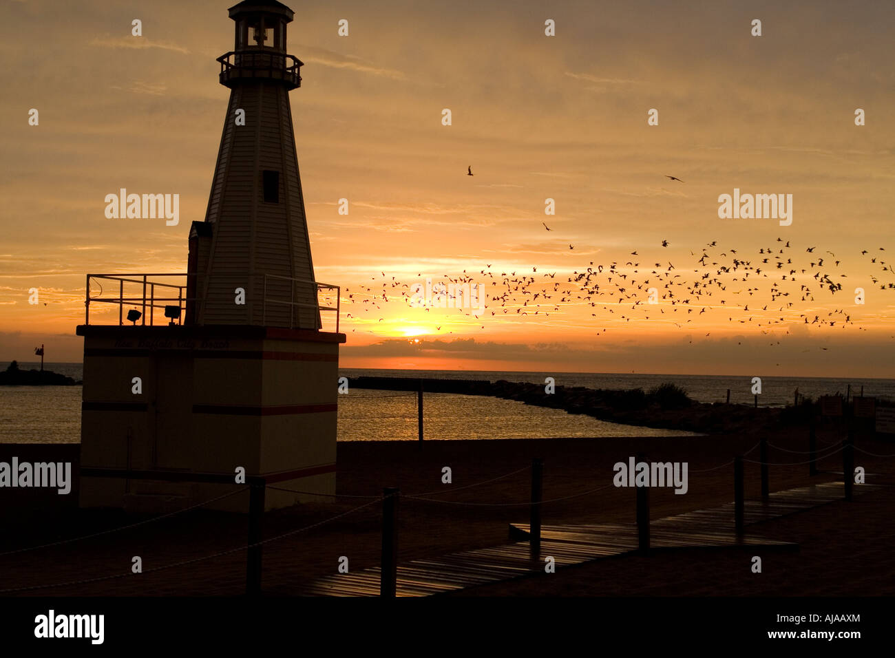 Seagulls flying past lighthouse at sunset at lake front park in New Buffalo, Michigan Stock Photo