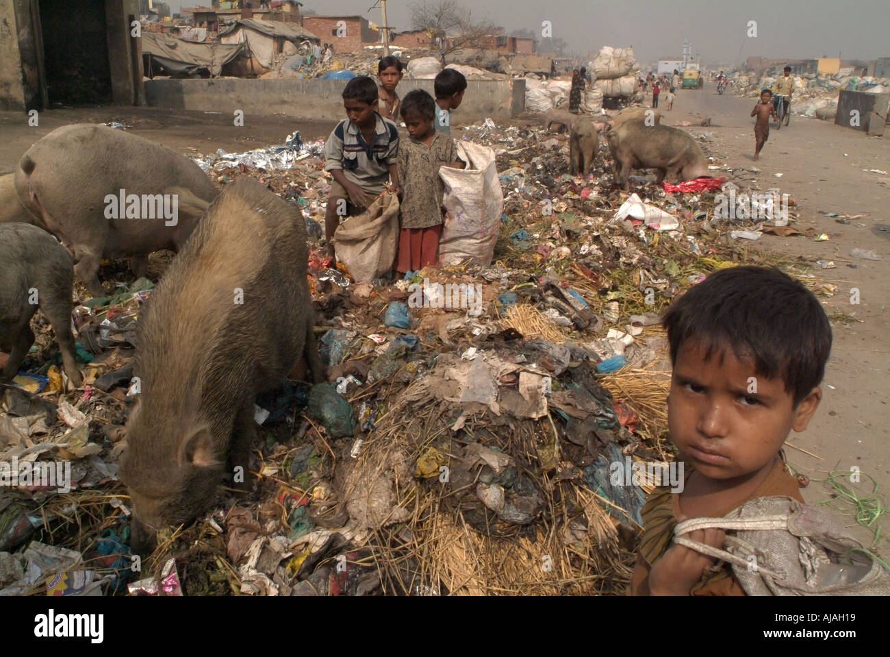 children working as rag pickers sorting out the garbage in a dump of