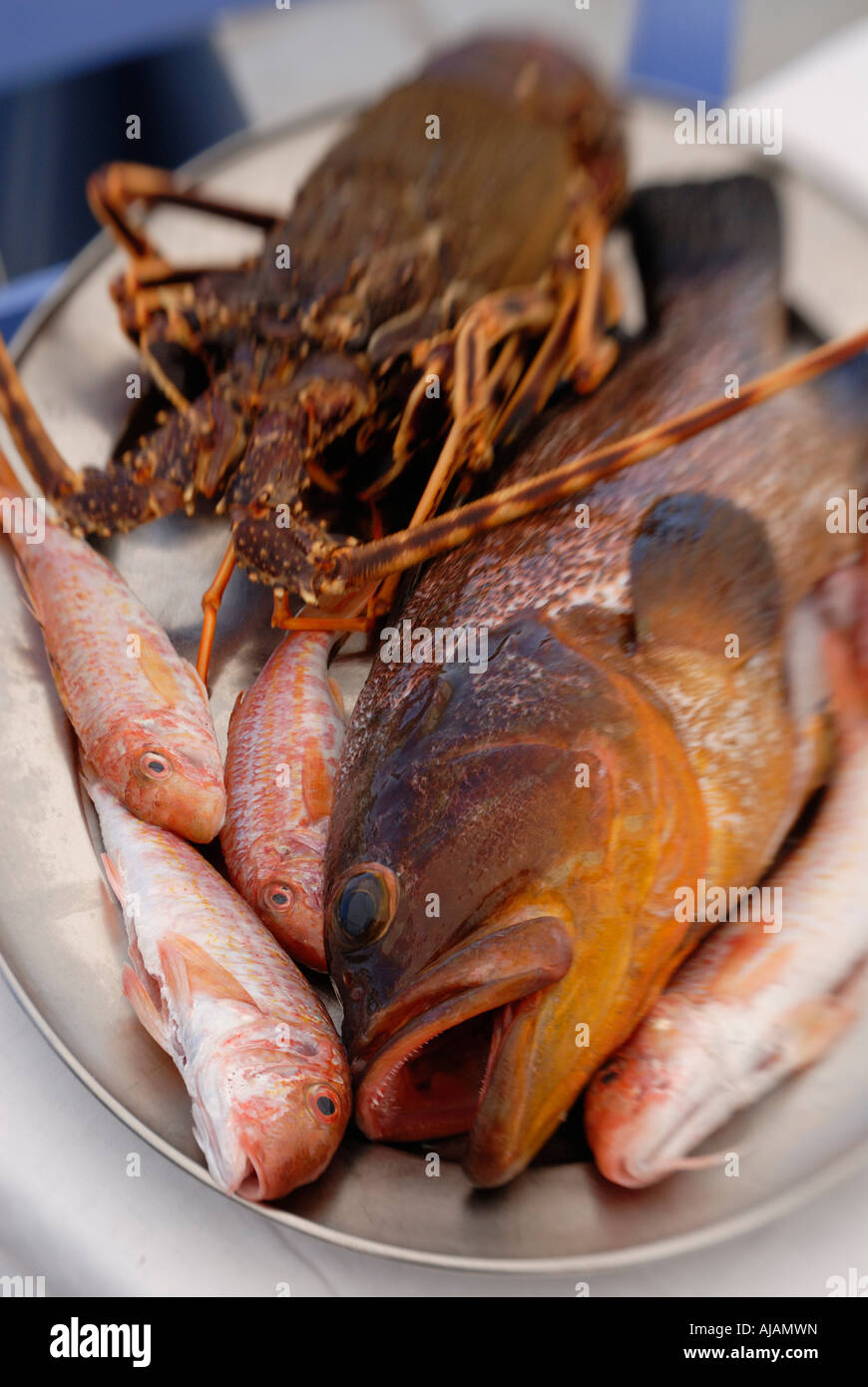 Greece Eptanese Kefalonia Tasia restaurant Fiskardo Fish and seafood Stock Photo Alamy