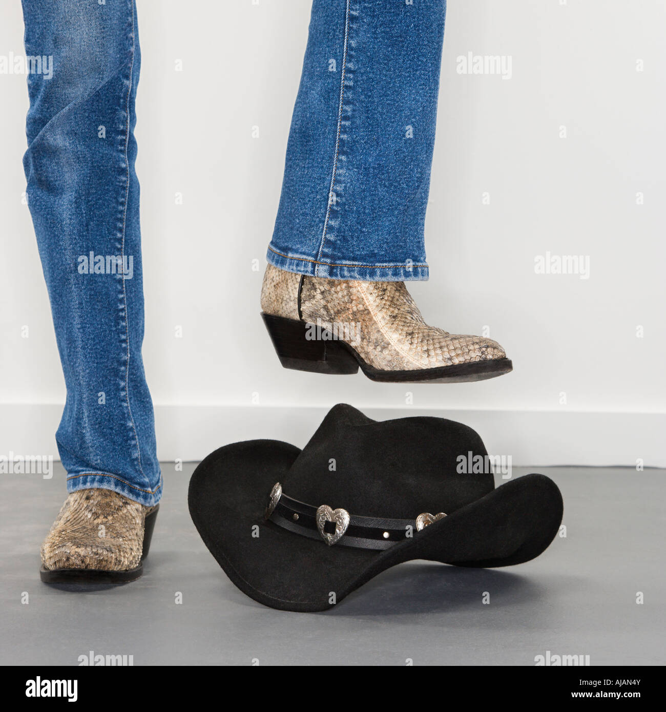 snakeskin western boots