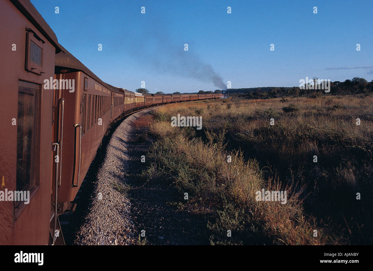 Looking down the length of a passenger train from Bulawayo to Victoria Falls Zimbabwe Fifteen 15 carriages can be seen Stock Photo