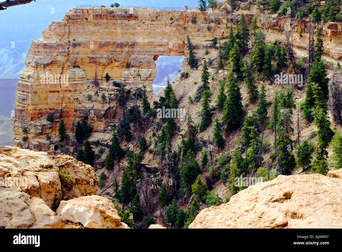 Angles Window North Rim of the Grand Canyon National Park Stock Photo ...