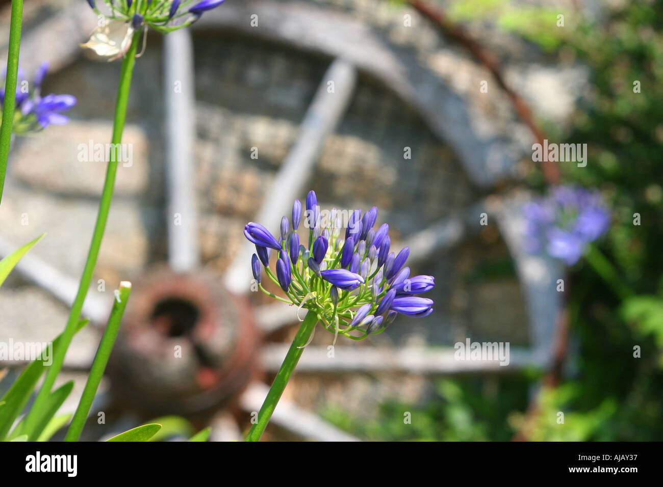 Cart wheel hub hi-res stock photography and images - Alamy